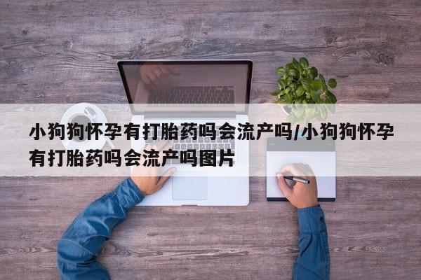 怀孕个月能不能用打胎药小狗狗怀孕有打胎药吗会流产吗/小狗狗怀孕有打胎药吗会流产吗图片