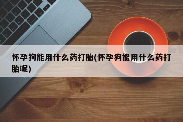 怀孕个月能不能用打胎药怀孕狗能用什么药打胎(怀孕狗能用什么药打胎呢)