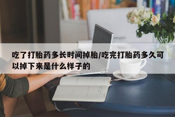 怀孕个月能不能用打胎药吃了打胎药多长时间掉胎/吃完打胎药多久可以掉下来是什么样子的