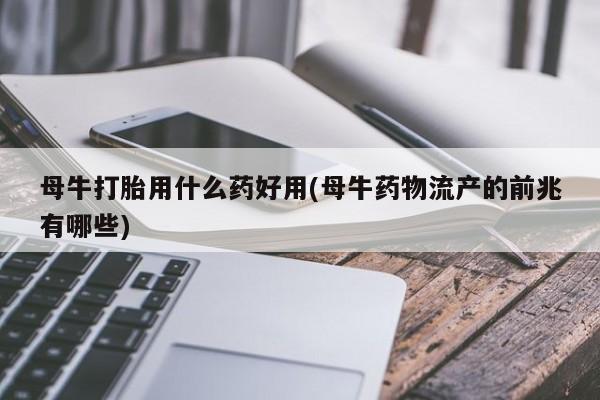 怀孕个月能不能用打胎药母牛打胎用什么药好用(母牛药物流产的前兆有哪些)