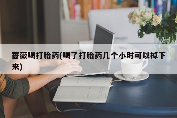 怀孕个月能不能用打胎药蔷薇喝打胎药(喝了打胎药几个小时可以掉下来)